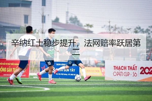 辛纳红土稳步提升，法网赔率跃居第二